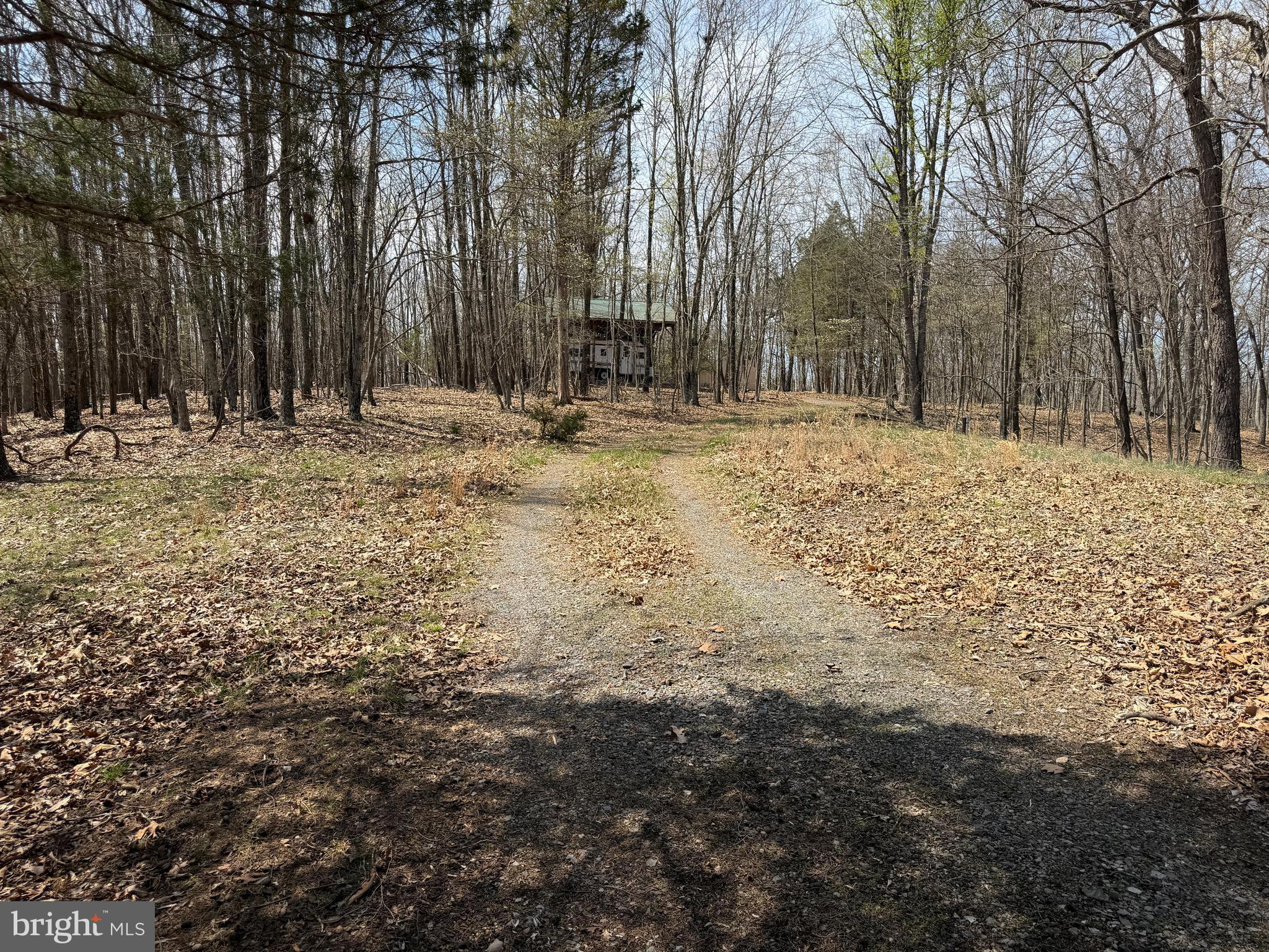 217 Trapper Lane Augusta, WV 26704 - Photo 86 of 111 a view of covered with snow