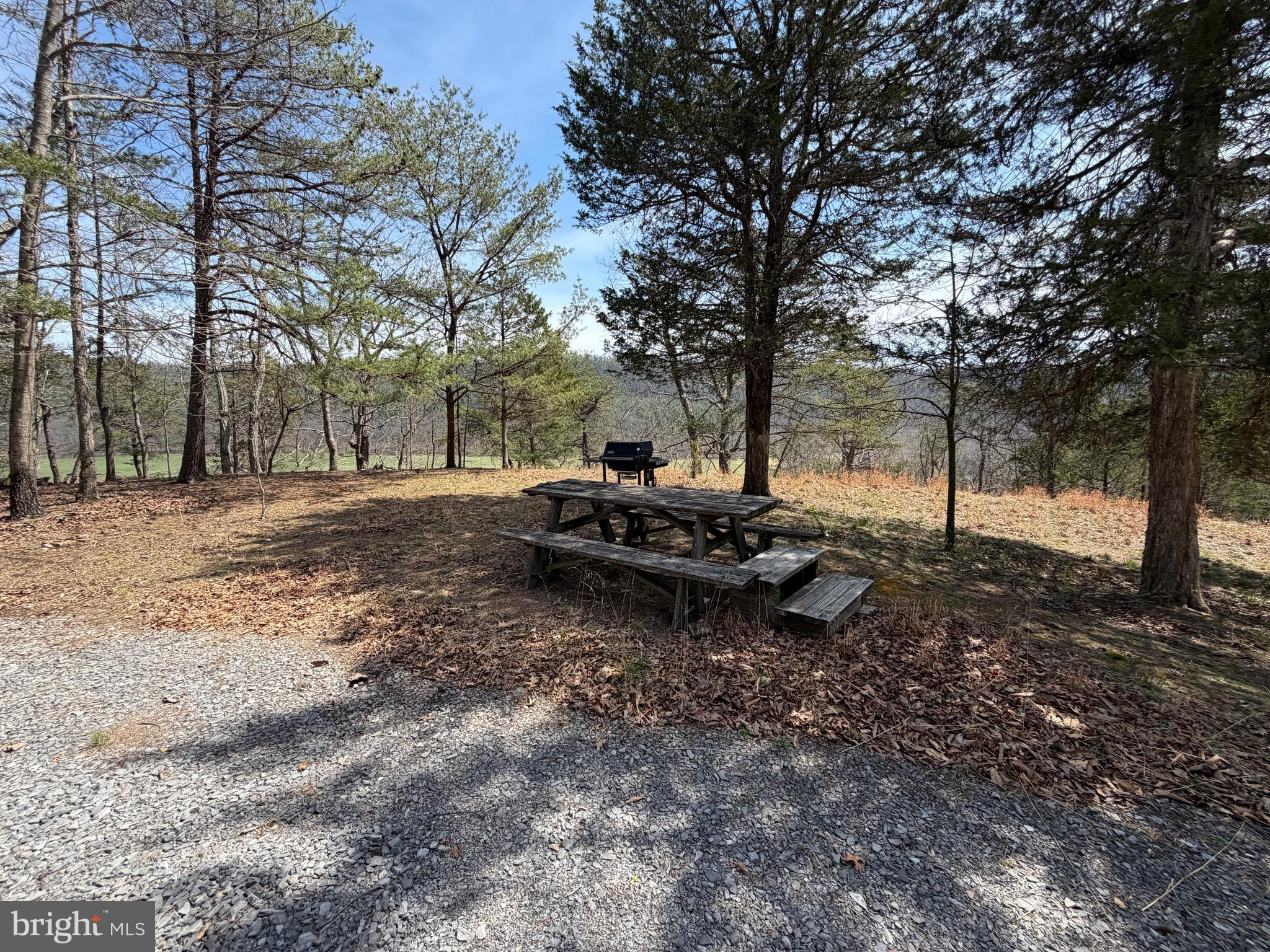 217 Trapper Lane Augusta, WV 26704 - Photo 88 of 111 a backyard of a house with lots of green space