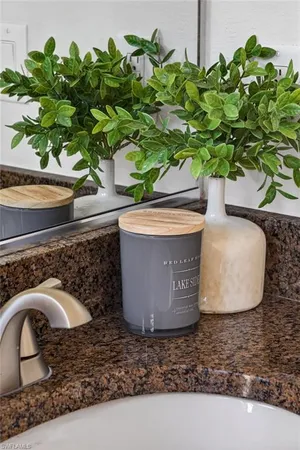 a view of a garden with a swimming pool