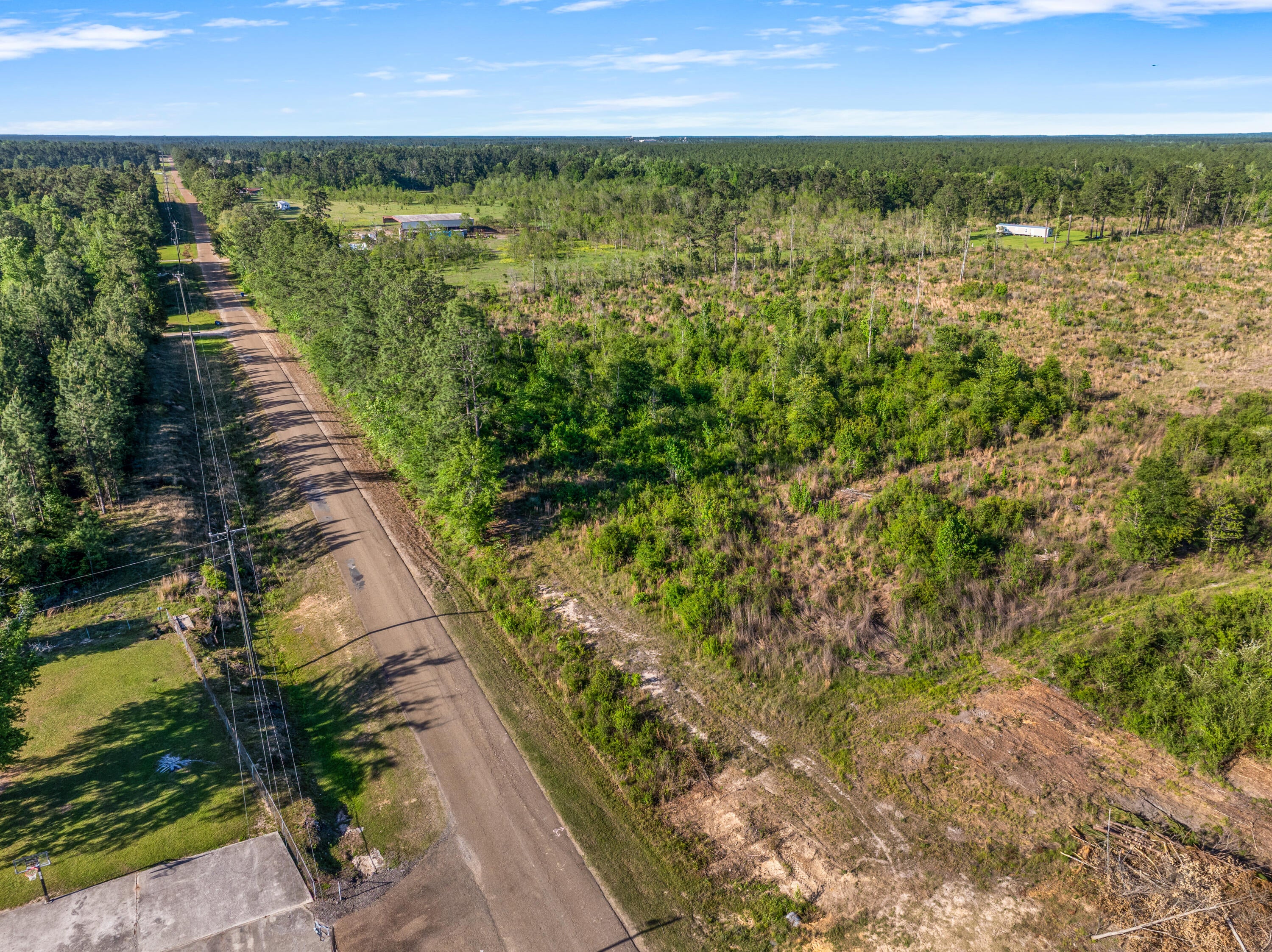 Pilgrim Rest Road Dequincy, LA 70633 - Photo 3 of 8 Gallery Image 3
