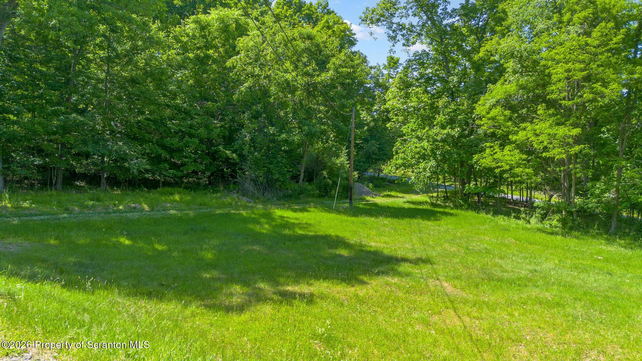 112 Spring Hill Drive Hunlock Creek, PA 18621 - Photo 9 of 54 Perfectly flat land