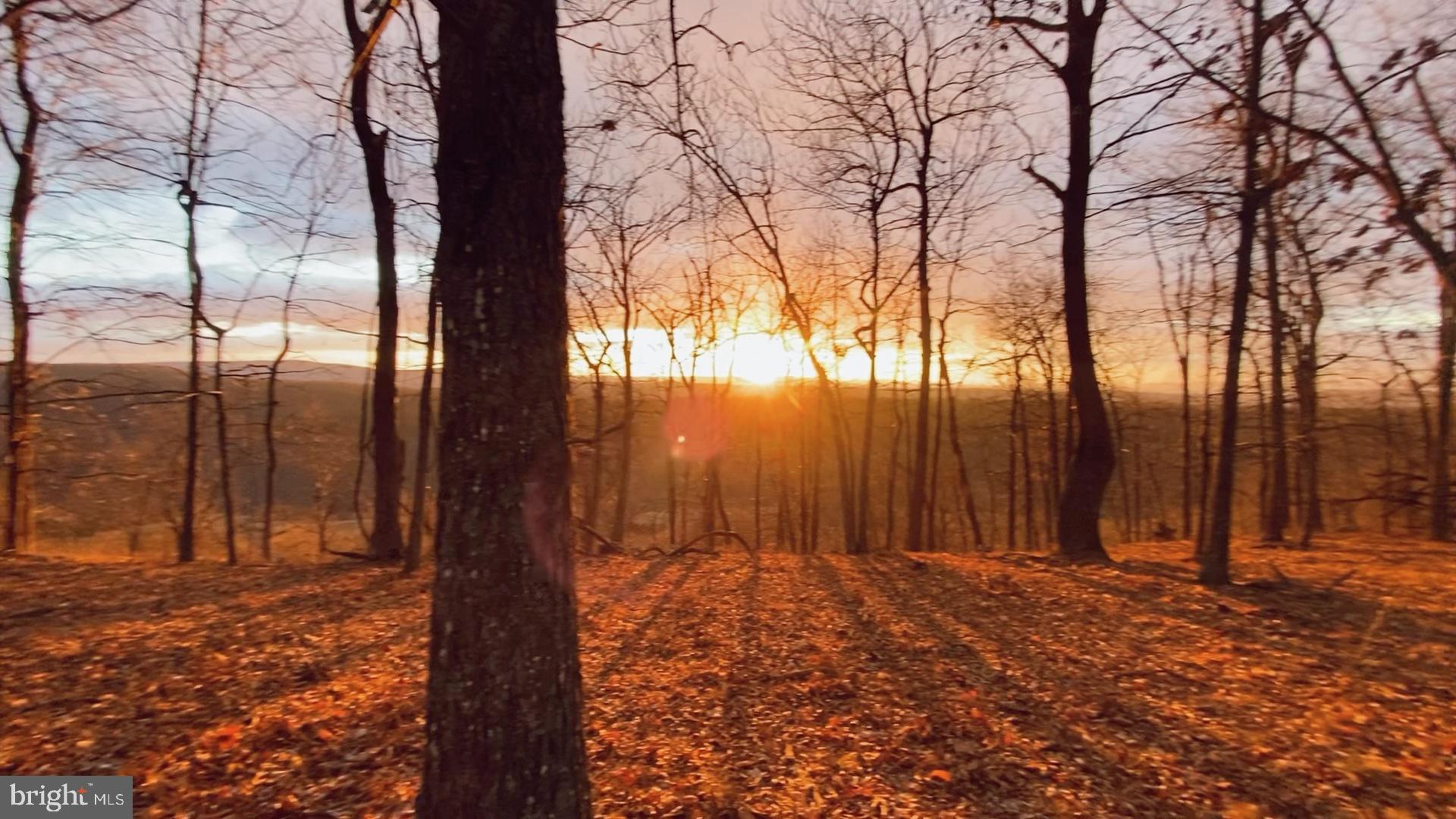 1764 Monroe Mountain Road Clearville, PA 15535 - Photo 3 of 5