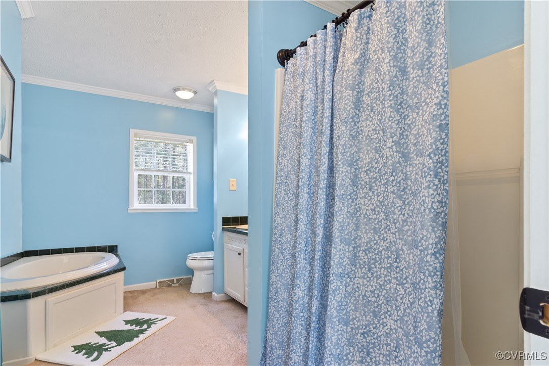 219 Barlow Road Williamsburg, VA 23188 - Photo 26 of 50 a bathroom with a toilet a sink and a shower