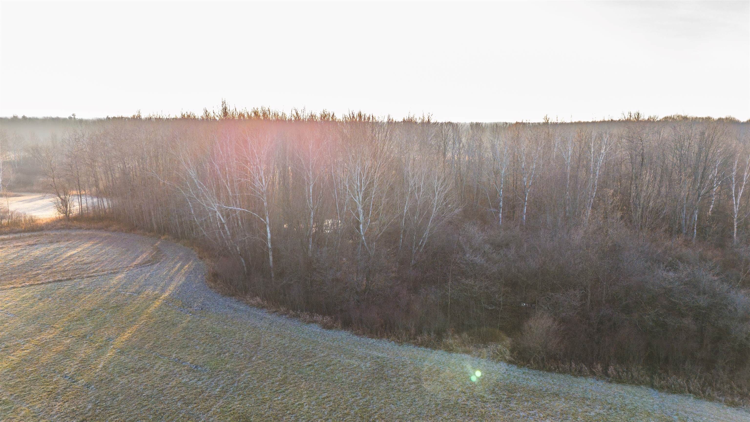 Four 4 Mile Road Evart, MI 49631 - Photo 10 of 38