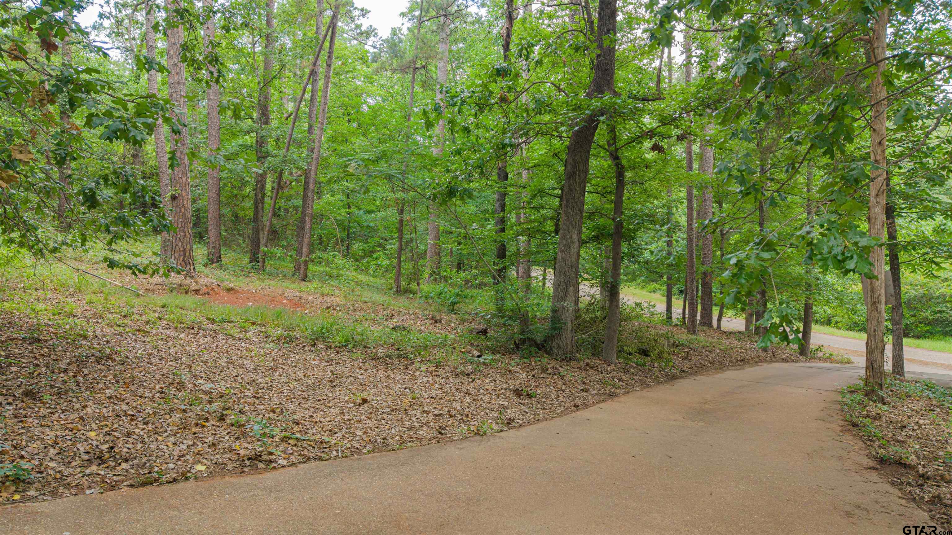 15818 Mountain View Road North Winona, TX 75792 - Photo 36 of 43
