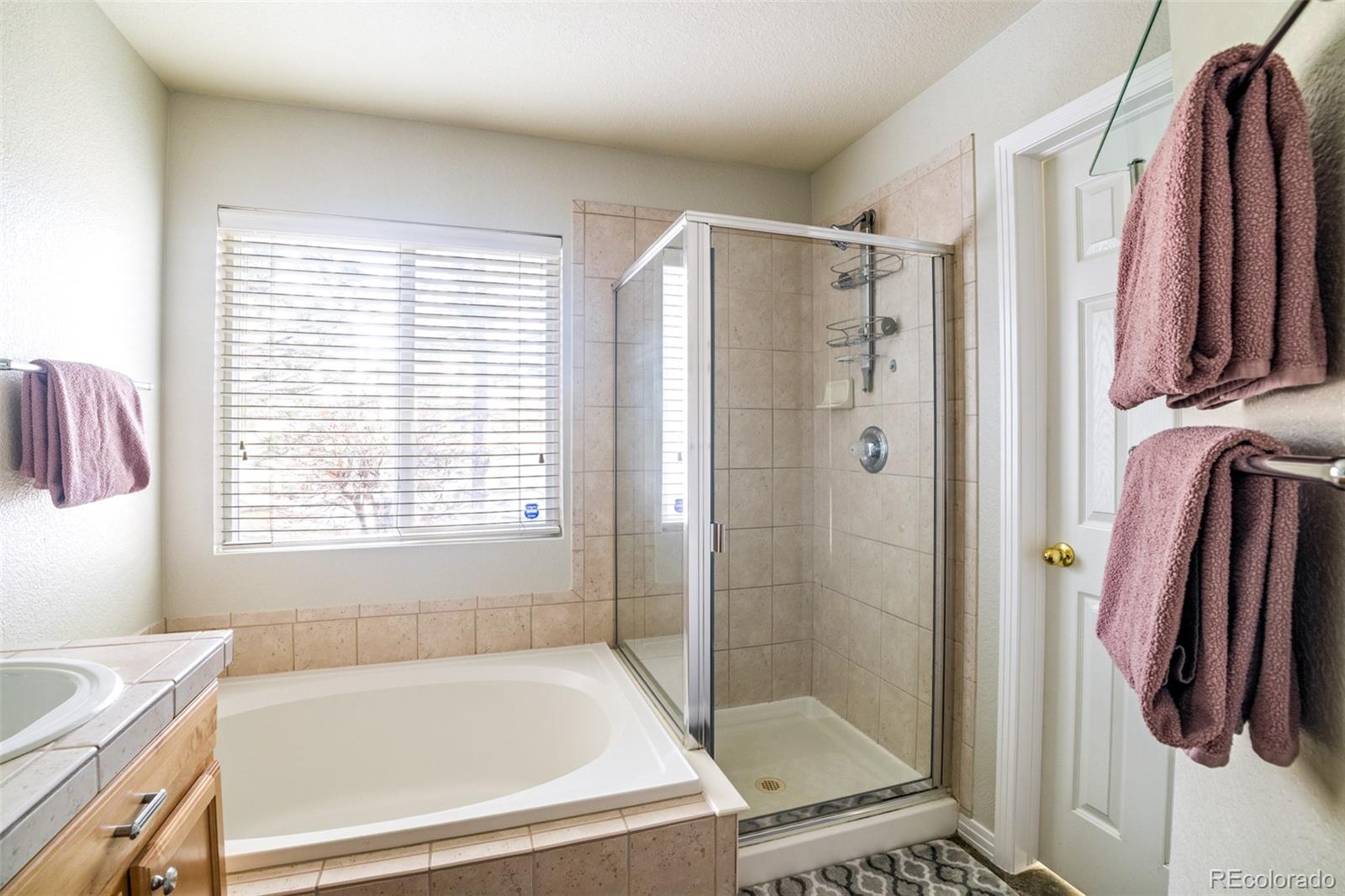 2454 South Scranton Way Aurora, CO 80014 - Photo 19 of 31