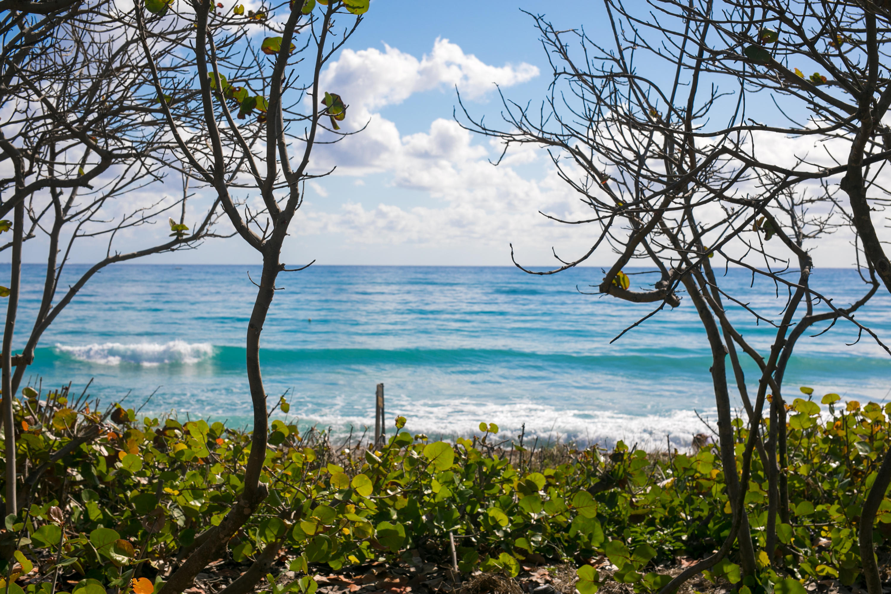 353 Highway 1, Unit F408 Jupiter, FL 33477 - Photo 26 of 27 Ocean scene.png