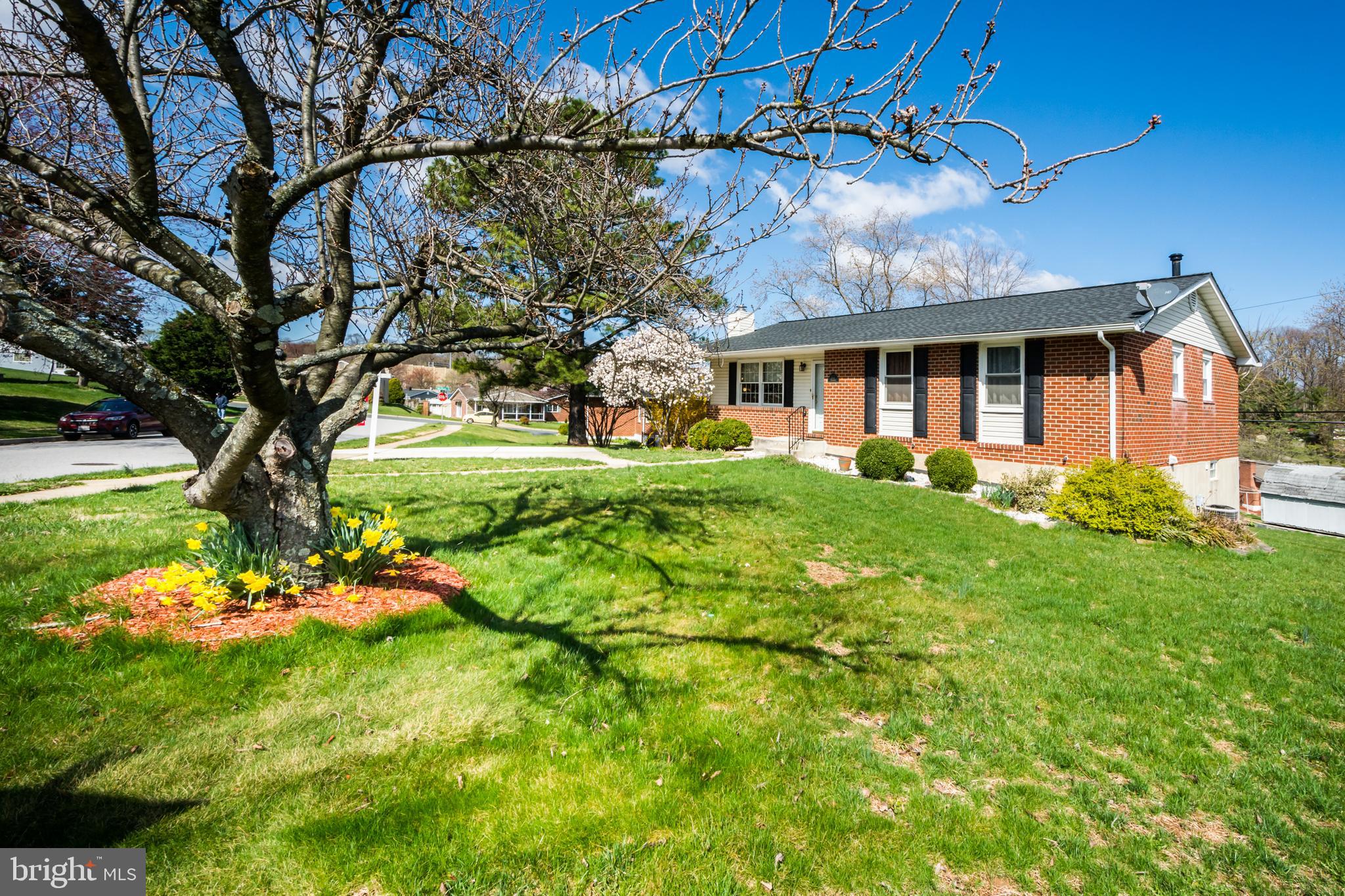 8317 Sagramore Road Baltimore, MD 21237 - Photo 4 of 42