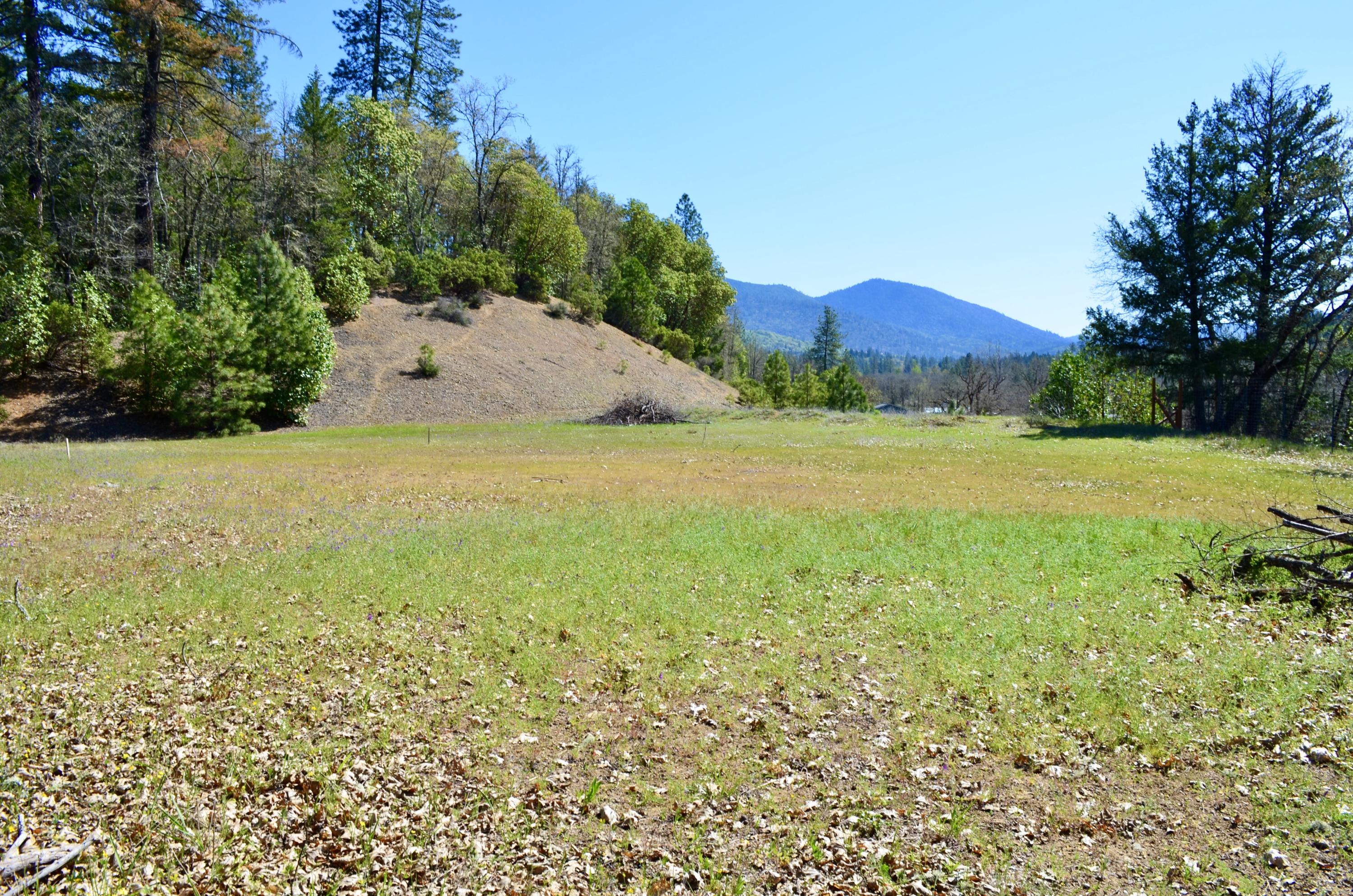 943 Pleasant Valley Road Merlin, OR 97532 - Photo 1 of 8 DSC_0960