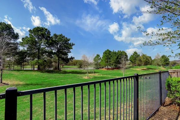 a view of a park with large trees