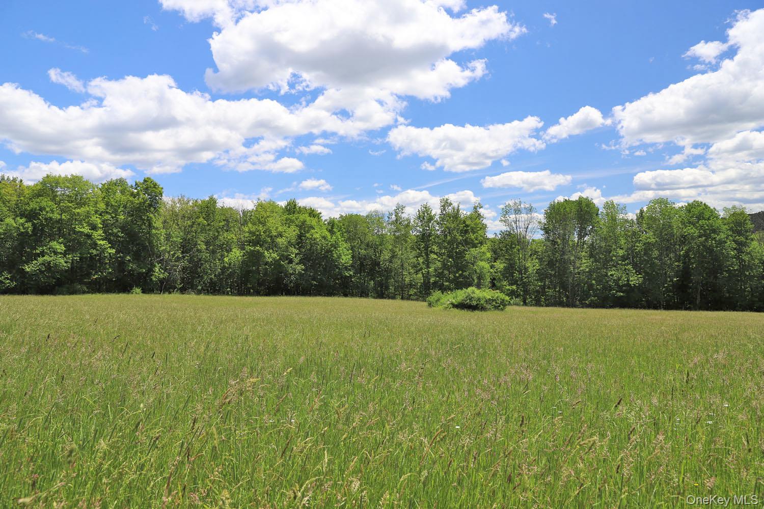 Dietz Road Callicoon Center, NY 12724 - Photo 15 of 24 Meadow to treeline
