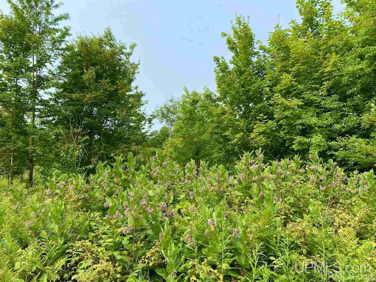 Tbd Southside Road Manistique, MI 49854 - Photo 32 of 36 Gallery Image 32
