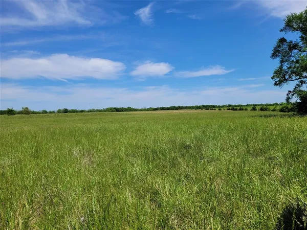 a view of a field
