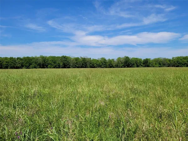 a view of a lake and a yard
