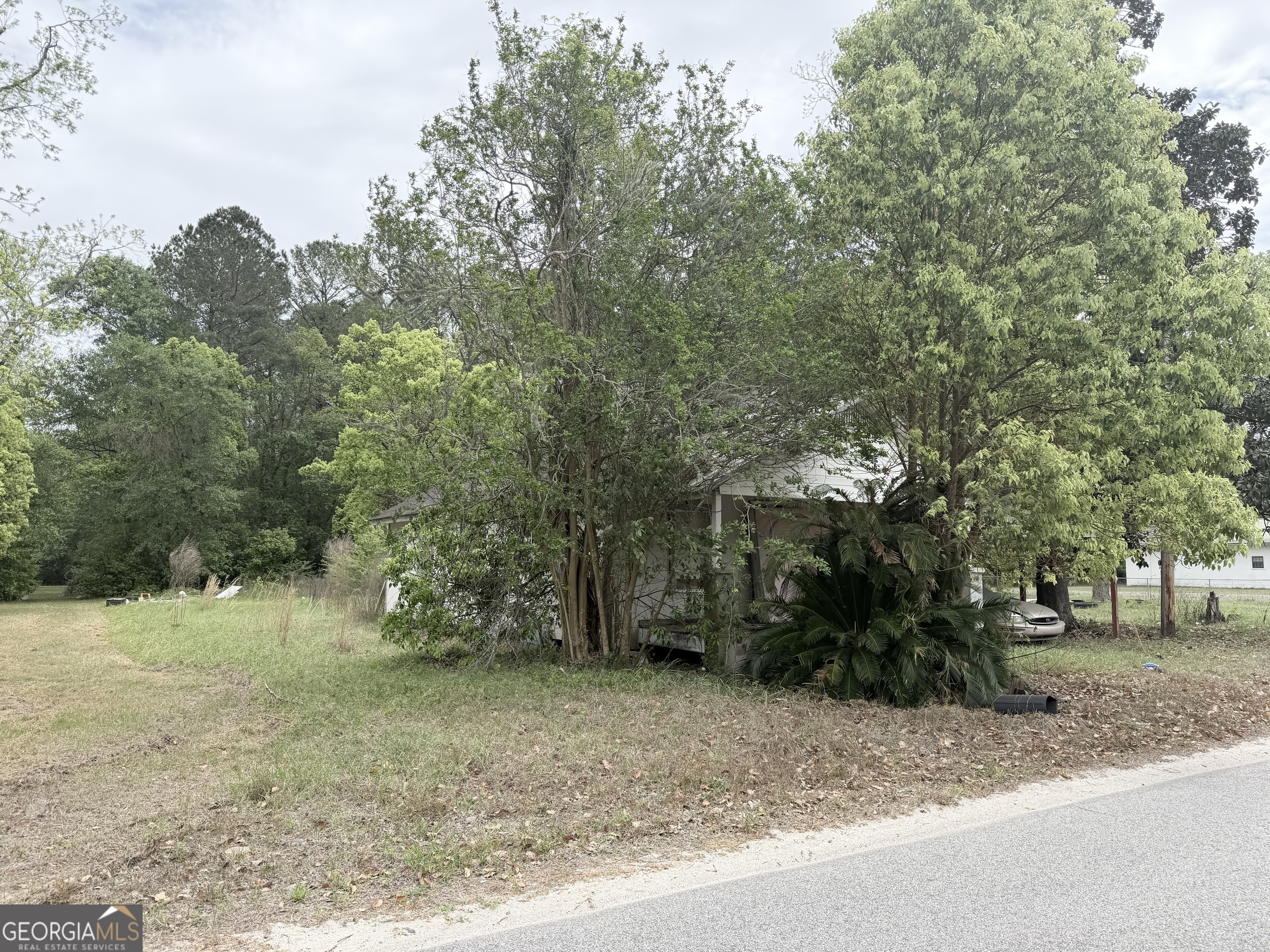 501 Watson Street Blackshear, GA 31516 - Photo 3 of 3