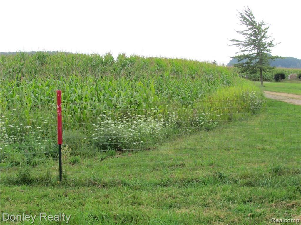 4630 Marton Road Kingston, MI 48741 - Photo 34 of 43 This is the north boundry line and the farmer does plant over to the driveway.