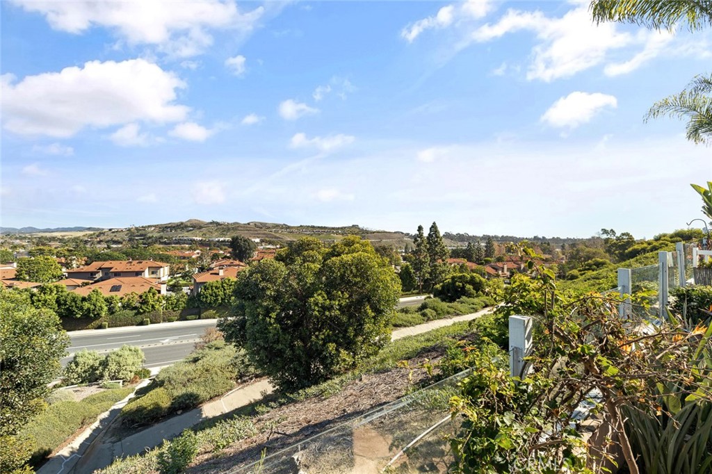 33686 Bridgehampton Drive Dana Point, CA 92629 - Photo 29 of 29 a view of a city