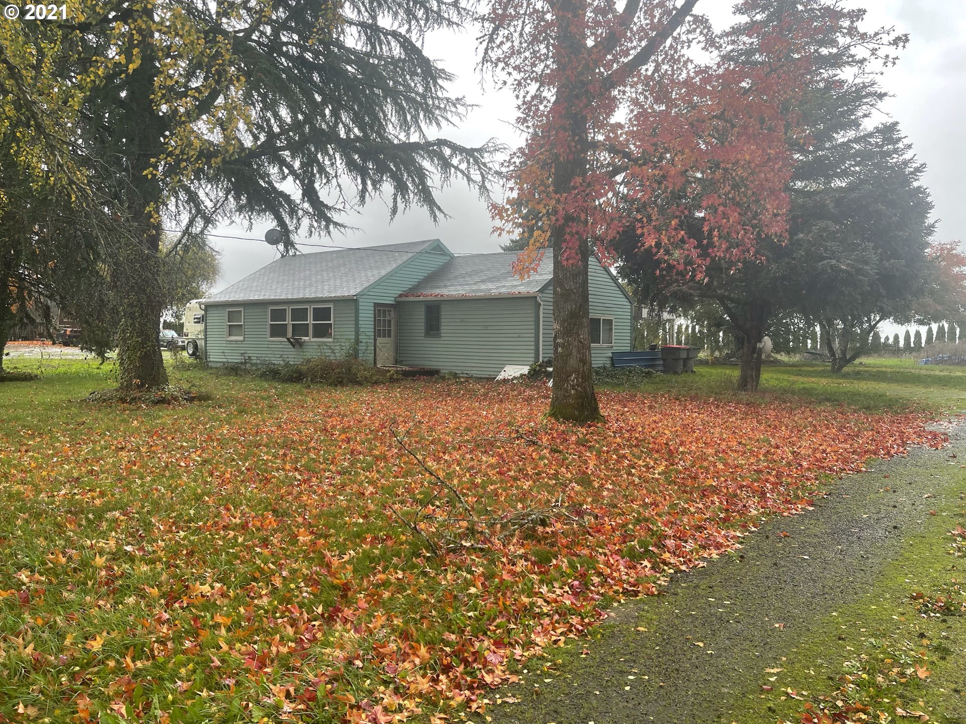 15290 Southeast Alderman Road Dayton, OR 97114 - Photo 1 of 7 a view of a yard with a tree