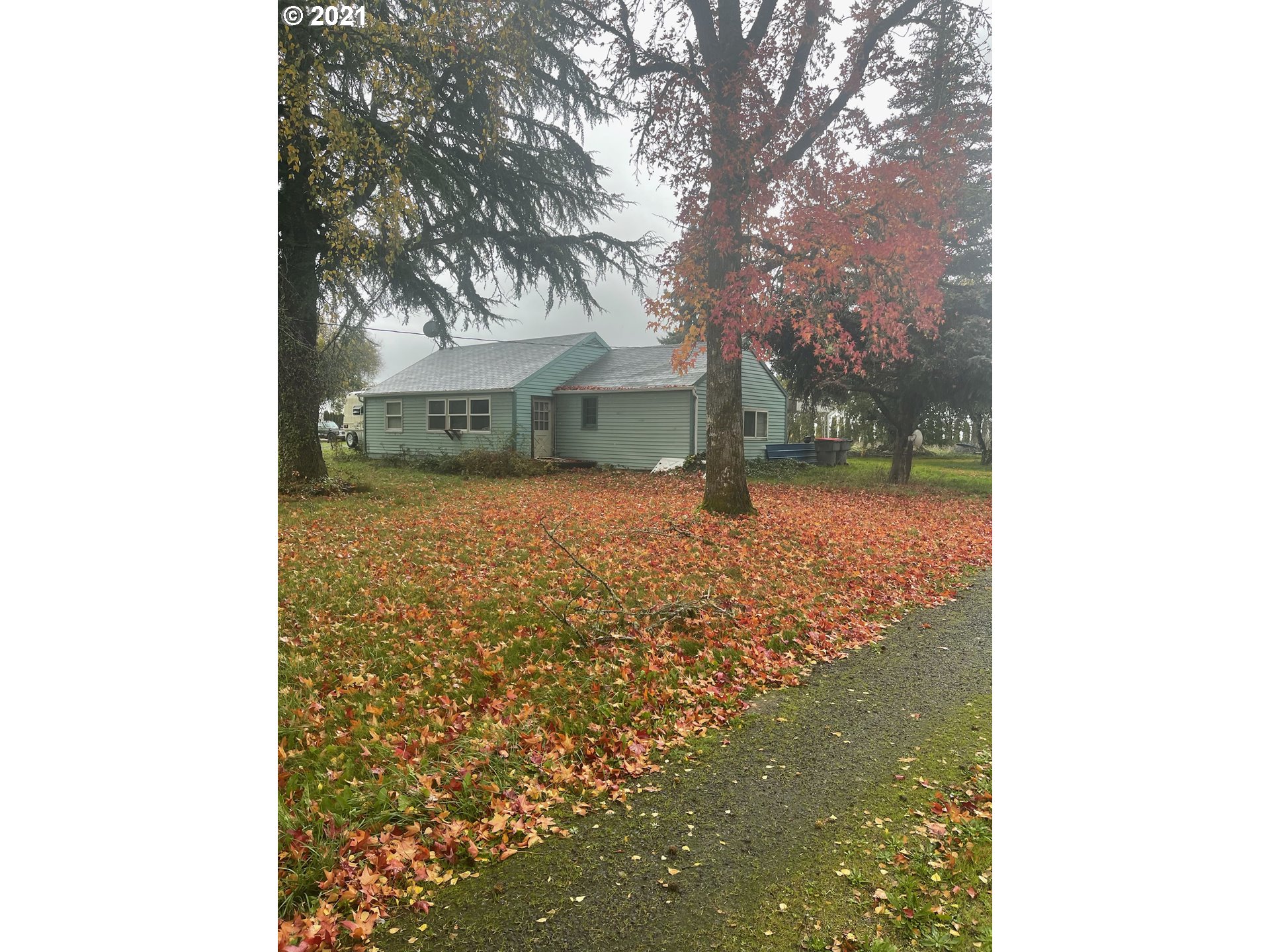 15290 Southeast Alderman Road Dayton, OR 97114 - Photo 2 of 7 a view of a yard with a tree