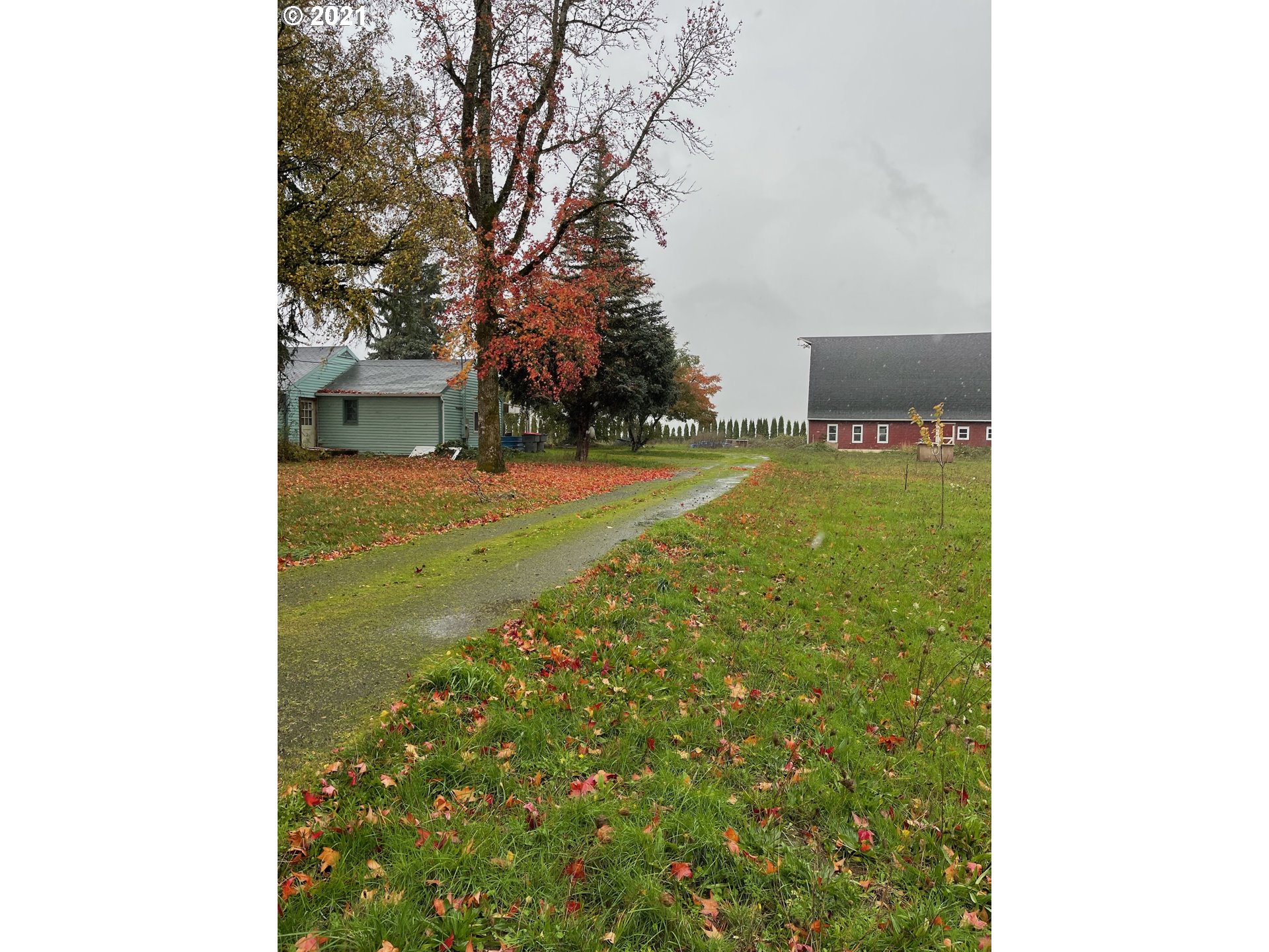 15290 Southeast Alderman Road Dayton, OR 97114 - Photo 7 of 7 a view of a yard