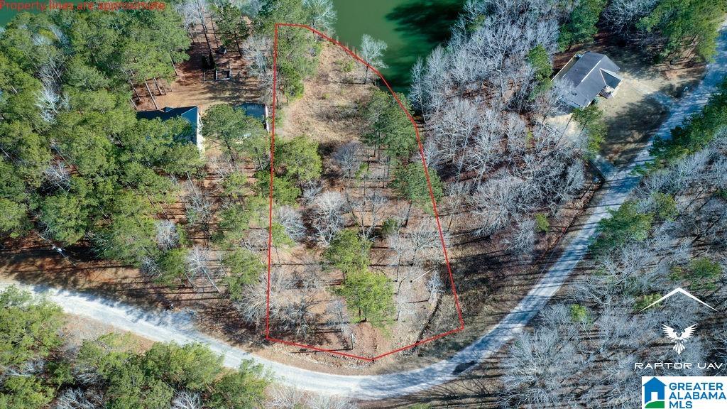 347 Murphy Dam Road, Unit LOT #16 Dadeville, AL 36853 - Photo 2 of 10
