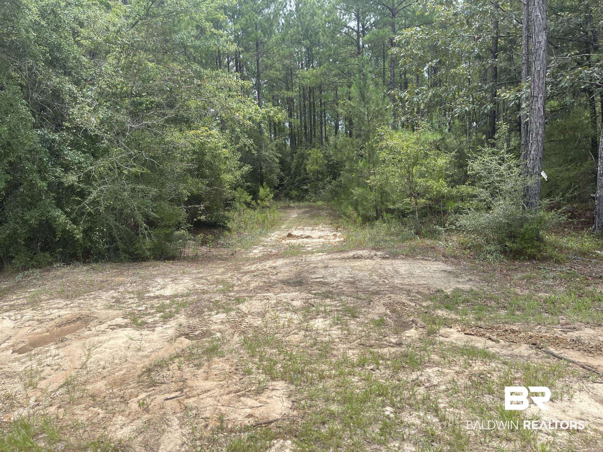 0 County Road 11 Wing, AL 36483 - Photo 34 of 37