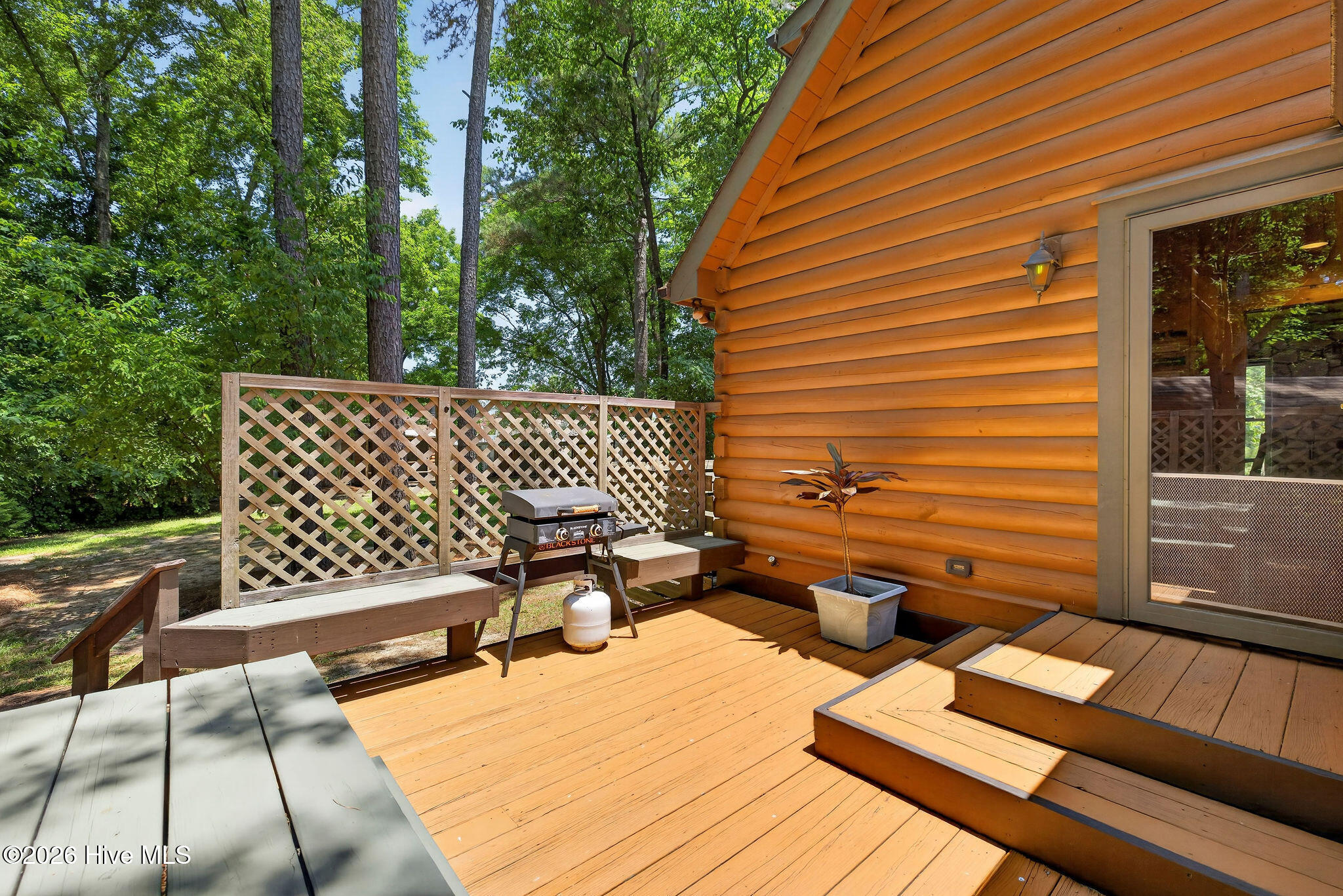 434 Upland Road Willard, NC 28478 - Photo 8 of 70