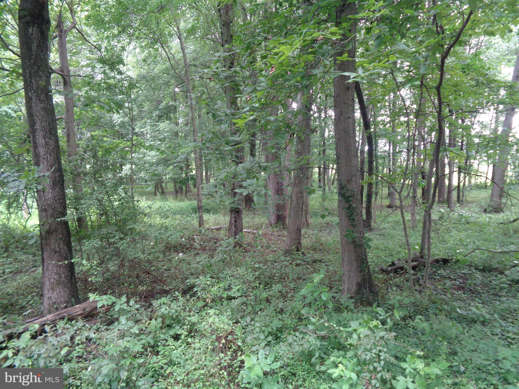 4700 Babylon Road Taneytown, MD 21787 - Photo 44 of 50 Such a peaceful place