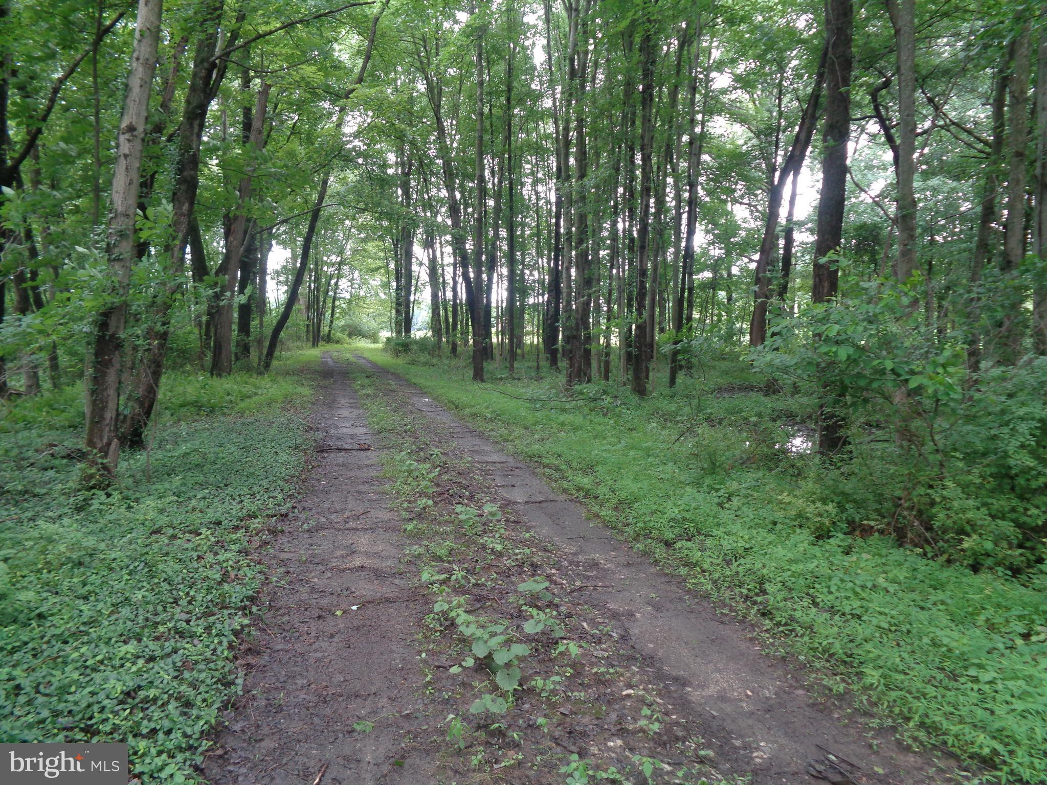 4700 Babylon Road Taneytown, MD 21787 - Photo 45 of 50 Lot is 90% natural wood lot