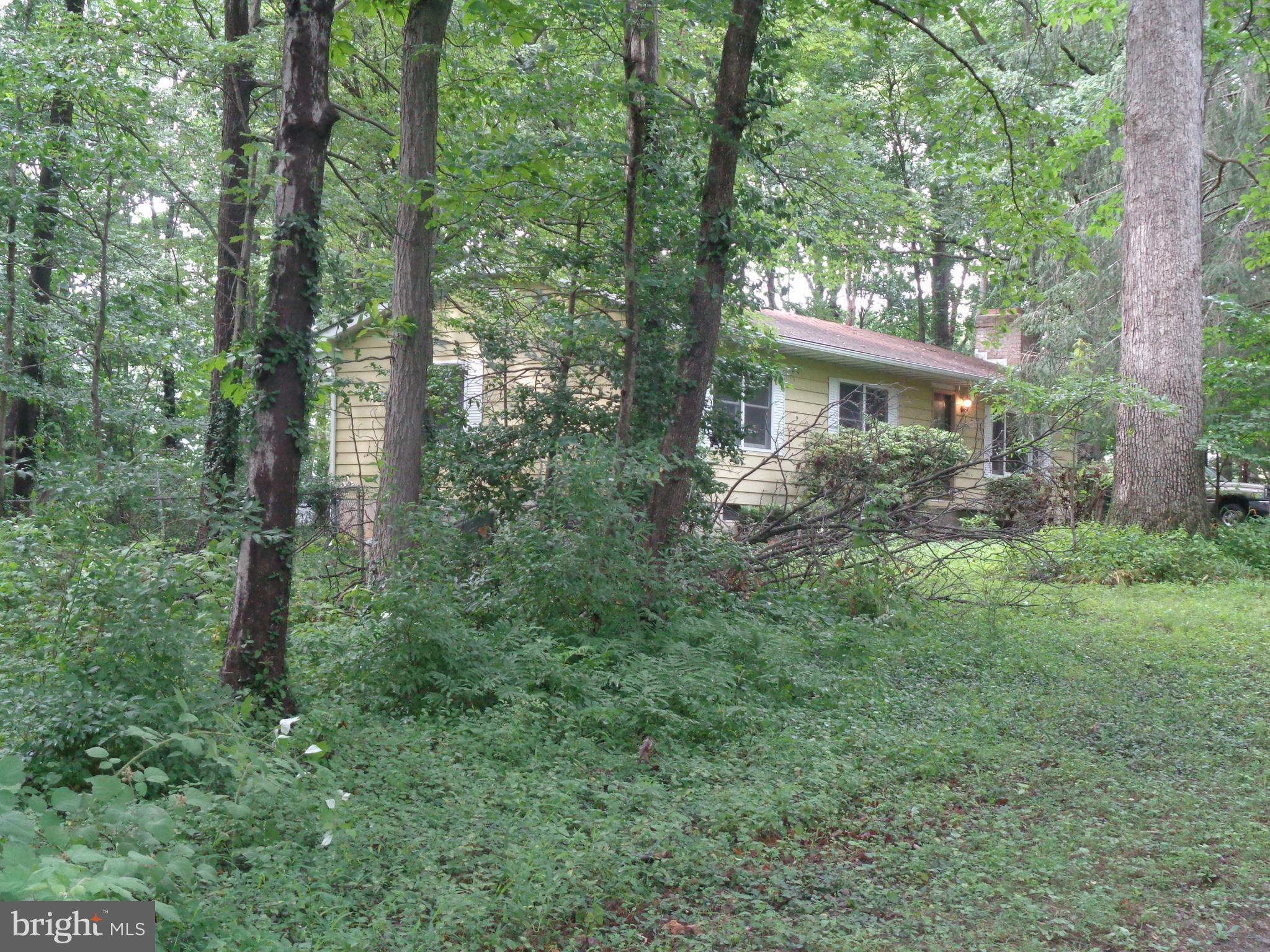 4700 Babylon Road Taneytown, MD 21787 - Photo 50 of 50 Gallery Image 50