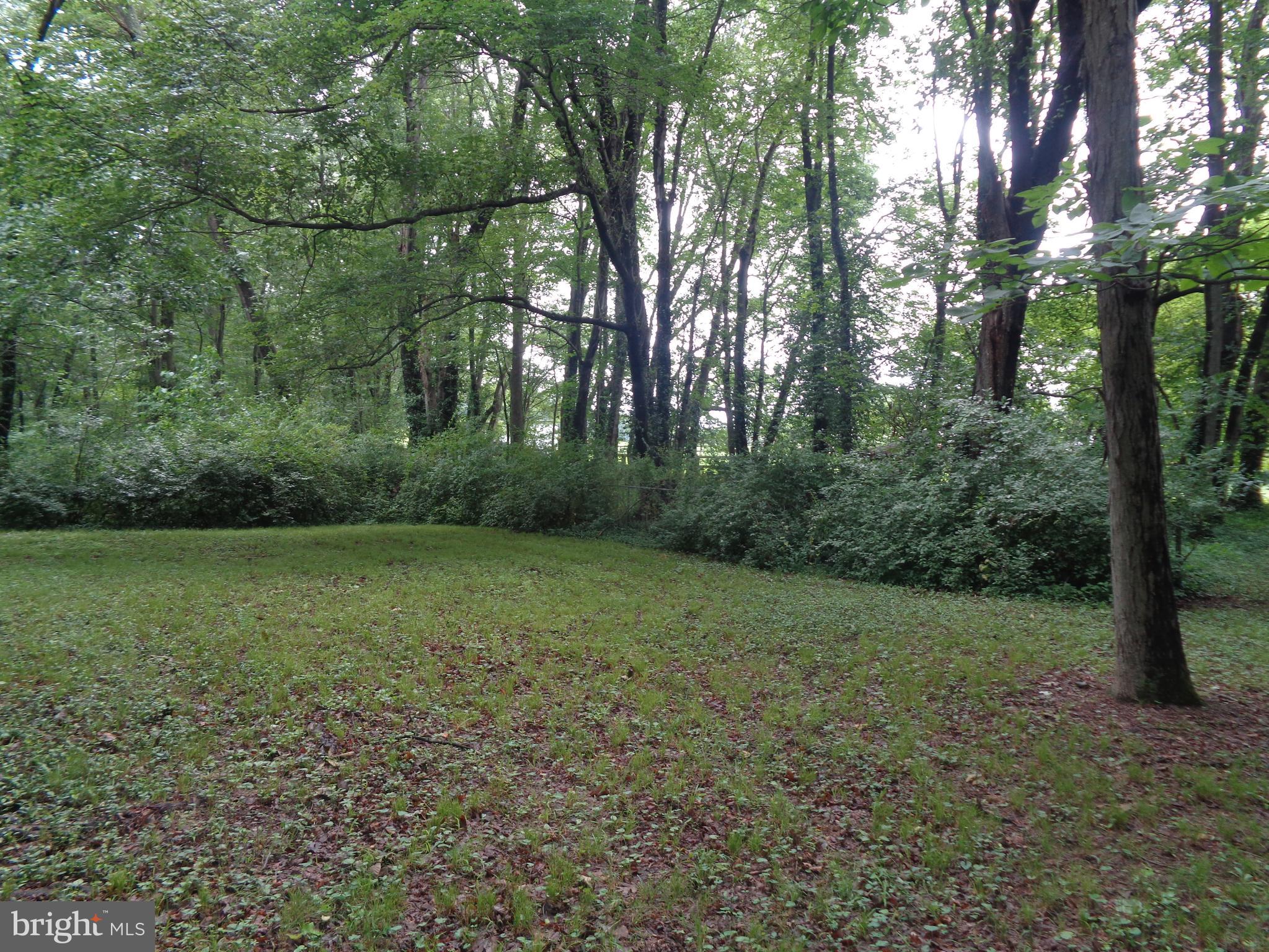 4700 Babylon Road Taneytown, MD 21787 - Photo 7 of 50 Back yard