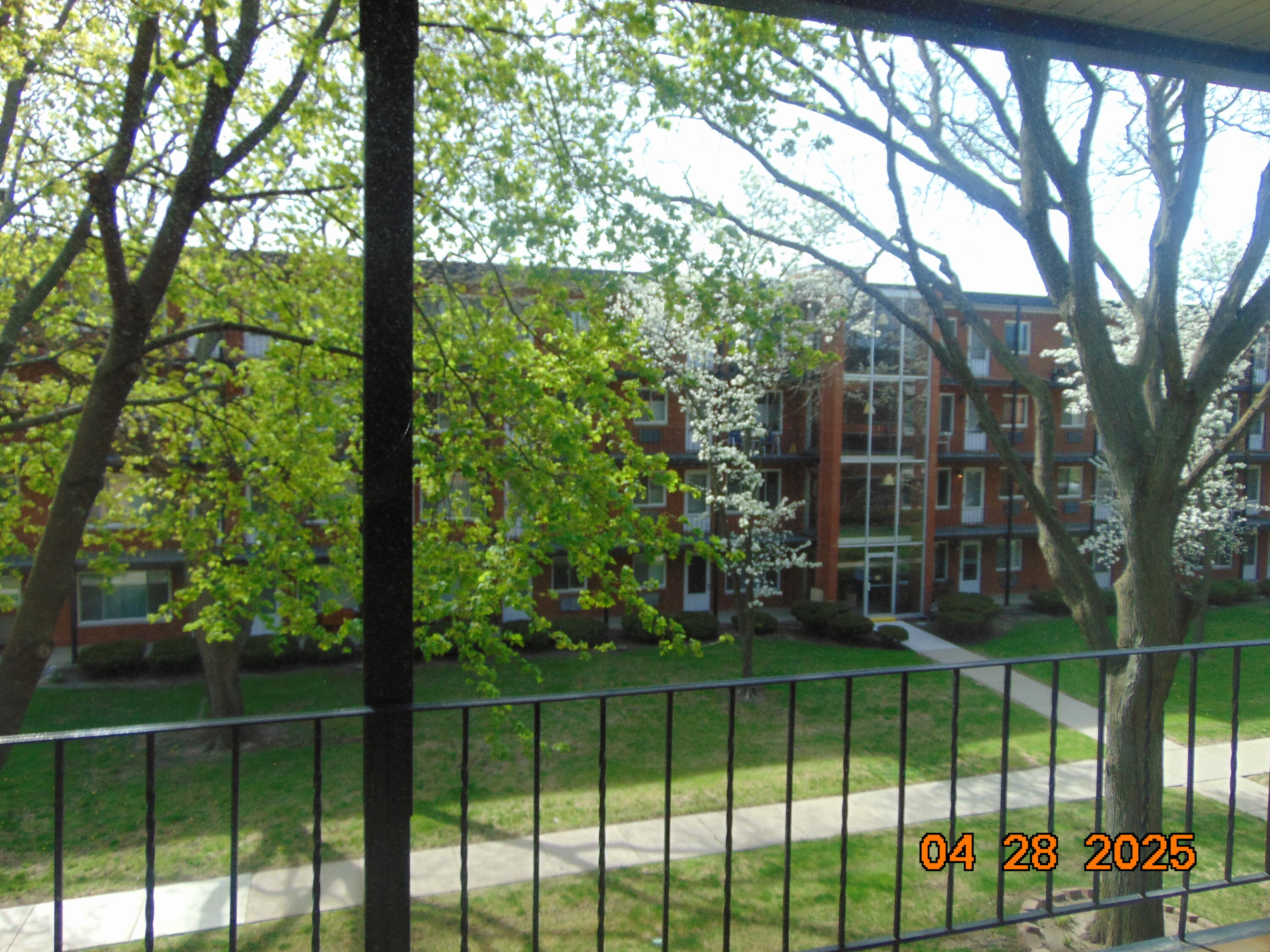 2915 West 13 Mile Road, Unit 209 Royal Oak, MI 48073 - Photo 9 of 28 courtyard