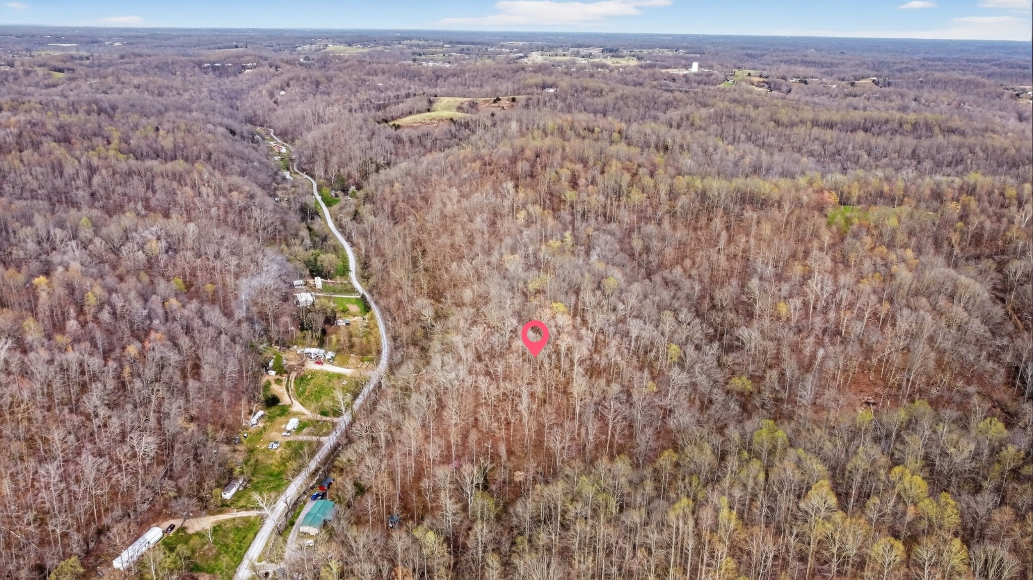 0 Phillips Hollow Road Westmoreland, TN 37186 - Photo 1 of 24 a view of a forest with a tree
