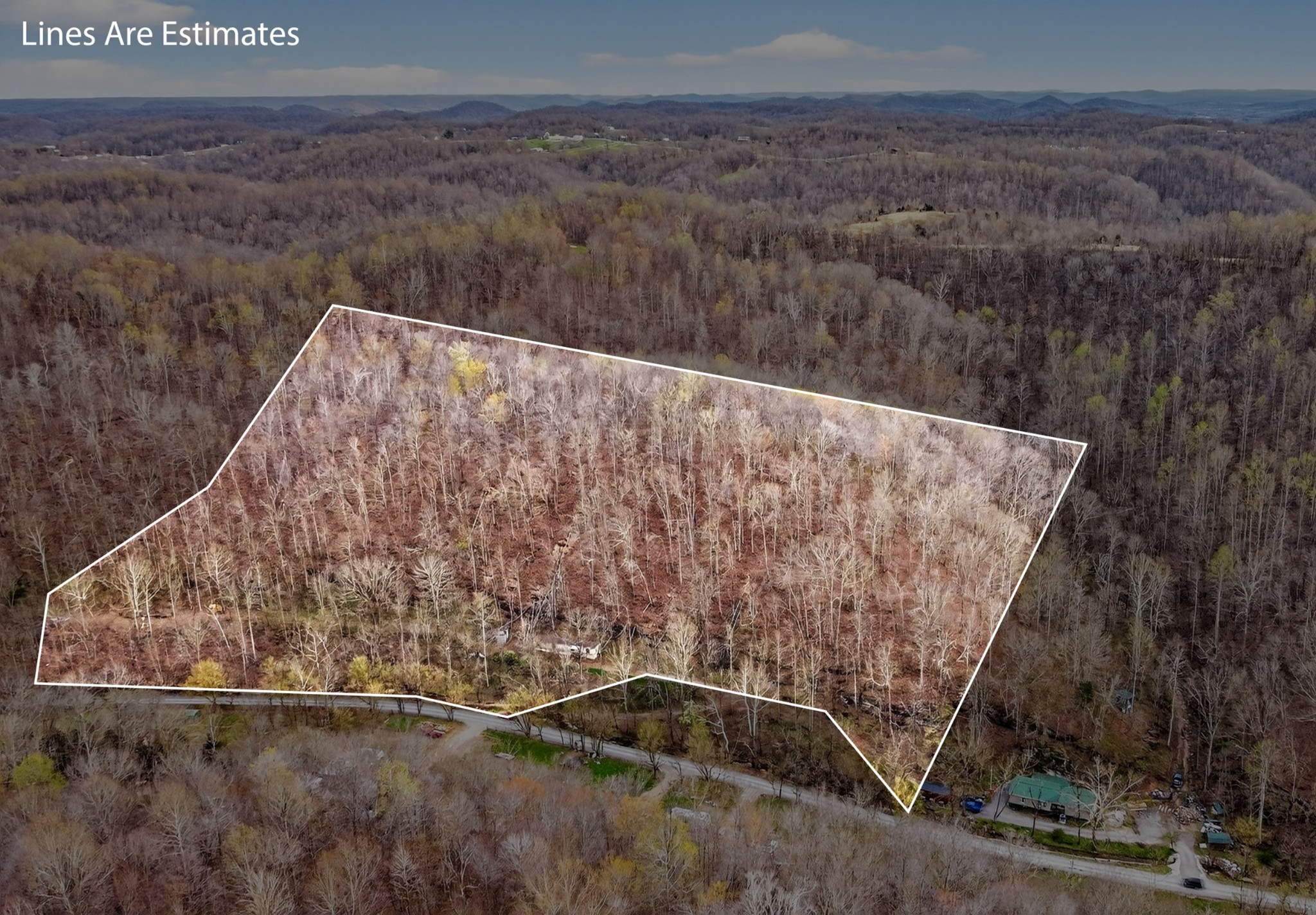 0 Phillips Hollow Road Westmoreland, TN 37186 - Photo 12 of 24 a view of wooden floor
