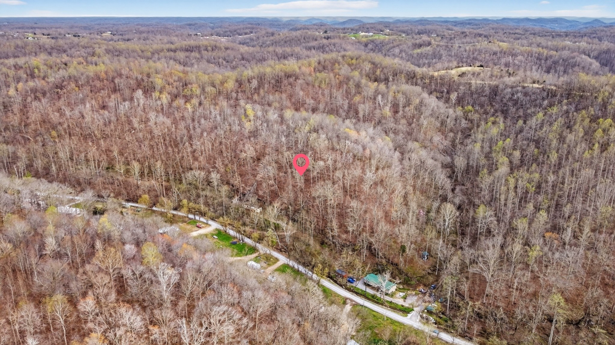0 Phillips Hollow Road Westmoreland, TN 37186 - Photo 13 of 24 a view of a forest with a mountain and trees