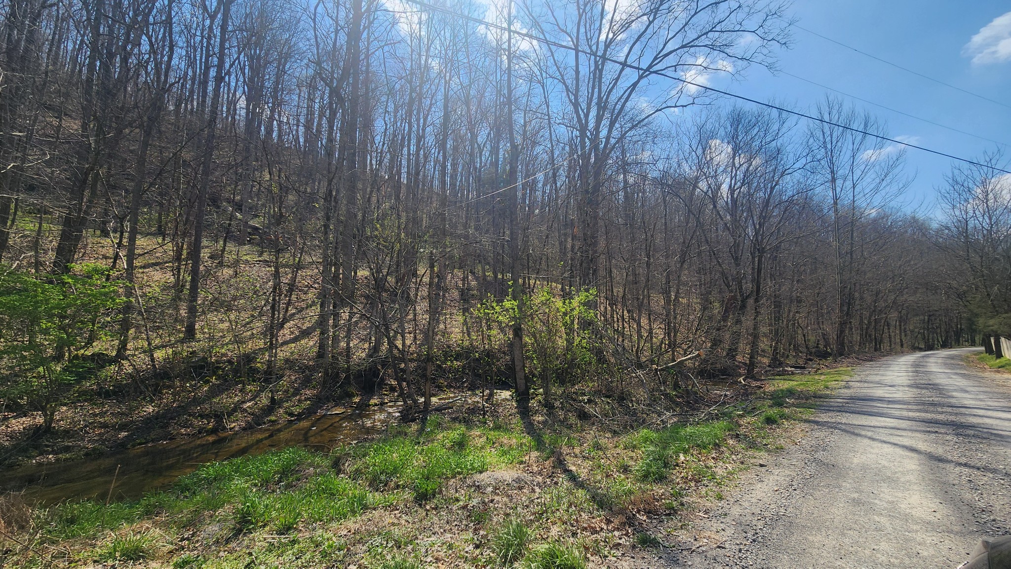 0 Phillips Hollow Road Westmoreland, TN 37186 - Photo 14 of 24 a view of backyard and trees