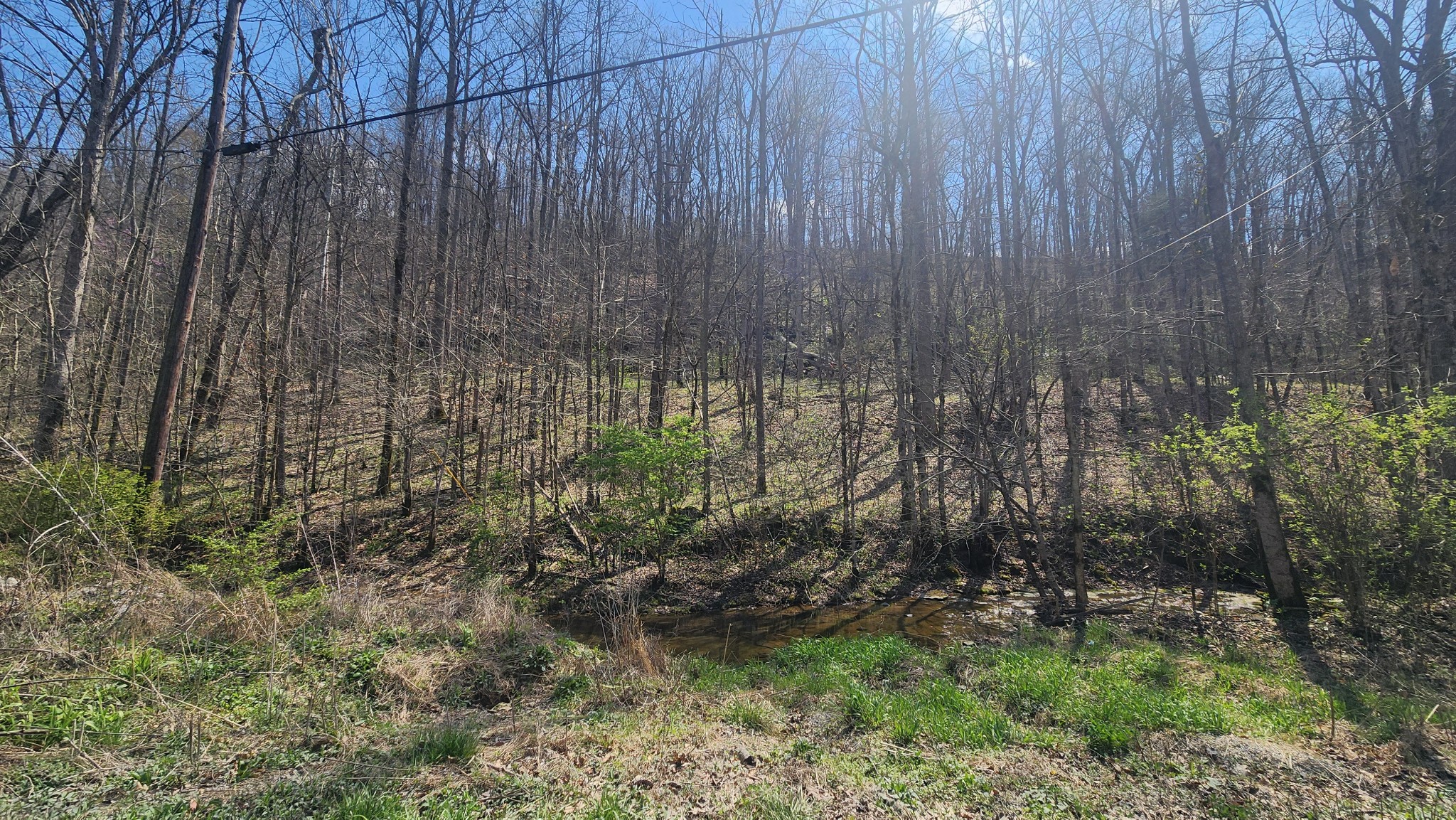 0 Phillips Hollow Road Westmoreland, TN 37186 - Photo 15 of 24 a view of a backyard