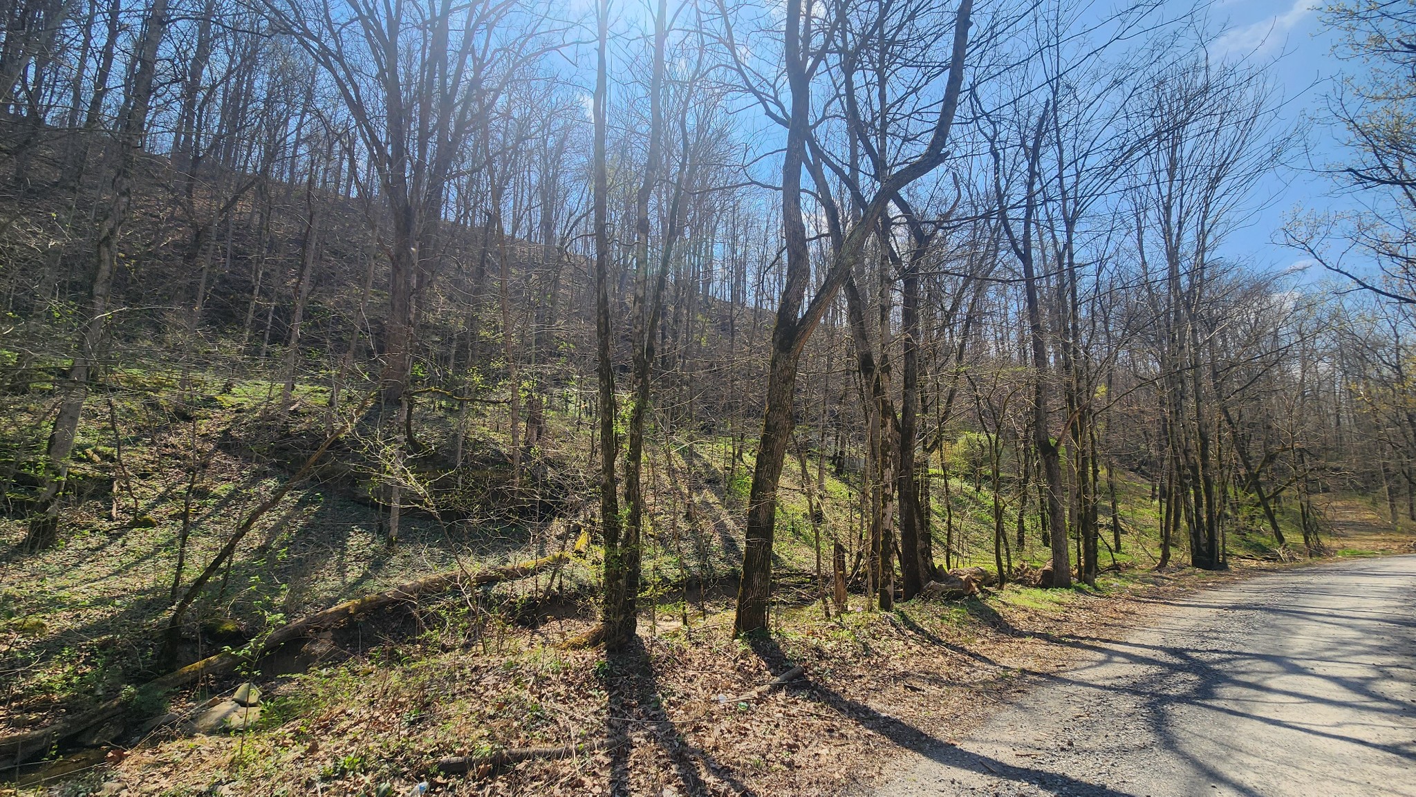 0 Phillips Hollow Road Westmoreland, TN 37186 - Photo 17 of 24 a view of a backyard of the house
