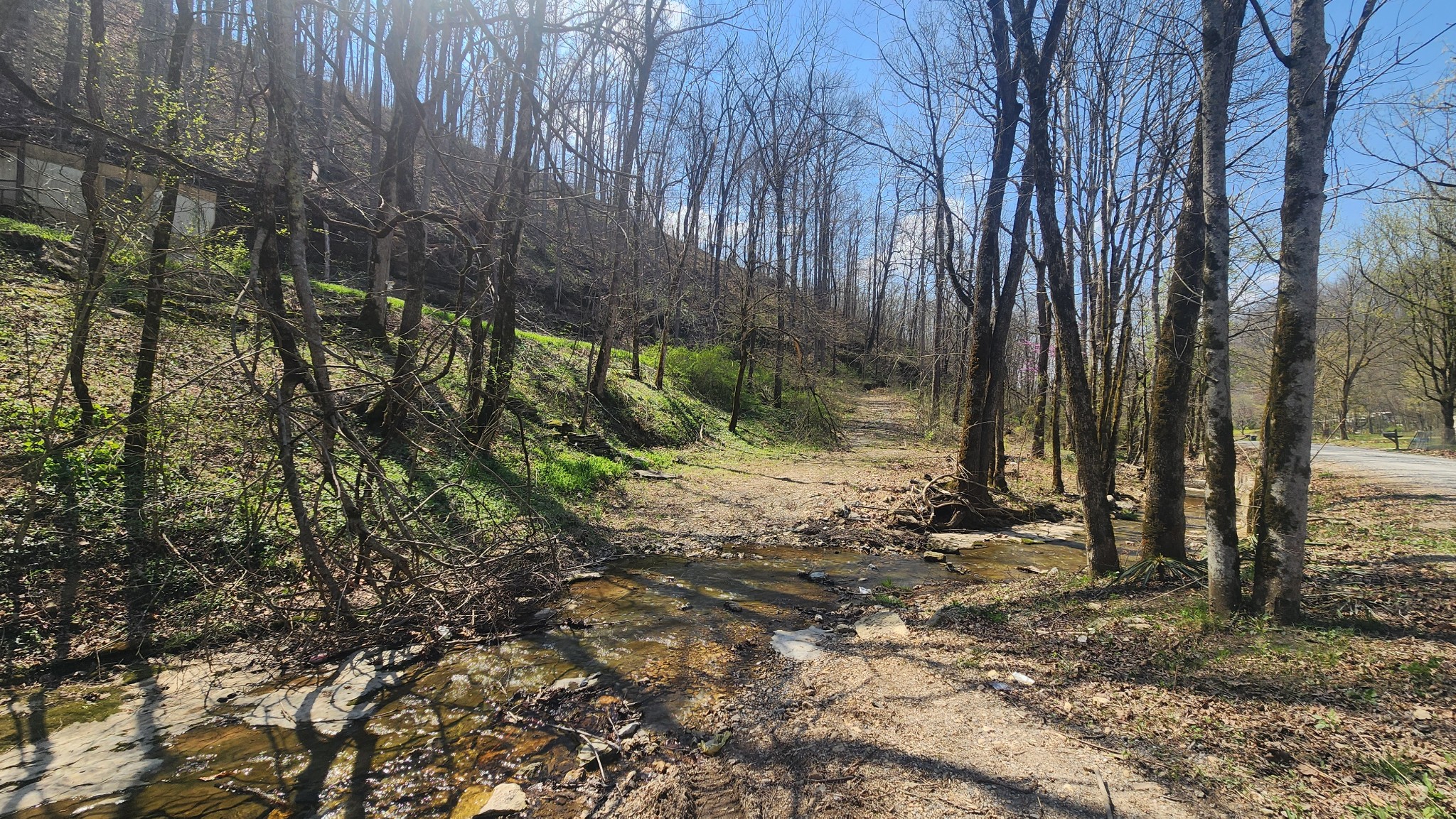 0 Phillips Hollow Road Westmoreland, TN 37186 - Photo 18 of 24 a view of a backyard