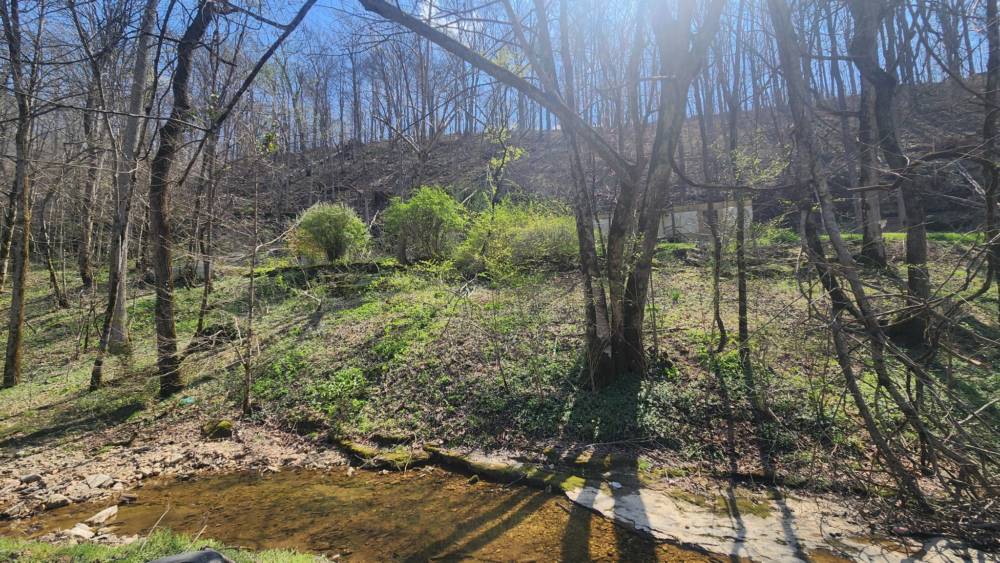 0 Phillips Hollow Road Westmoreland, TN 37186 - Photo 19 of 24 a backyard of a house with lots of green space