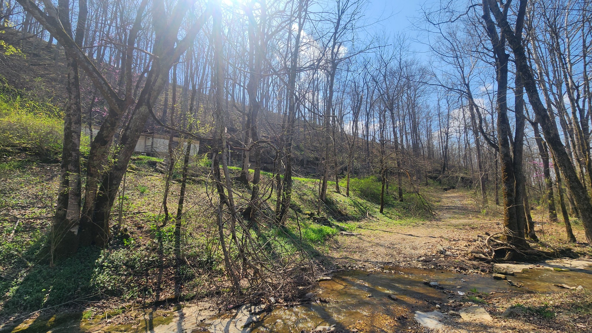 0 Phillips Hollow Road Westmoreland, TN 37186 - Photo 20 of 24 a backyard of a house with lots of green space