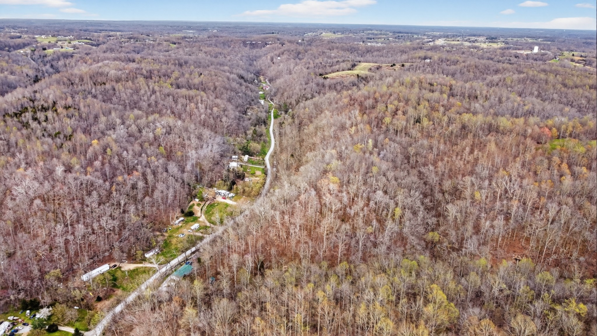 0 Phillips Hollow Road Westmoreland, TN 37186 - Photo 2 of 24 a view of a yard