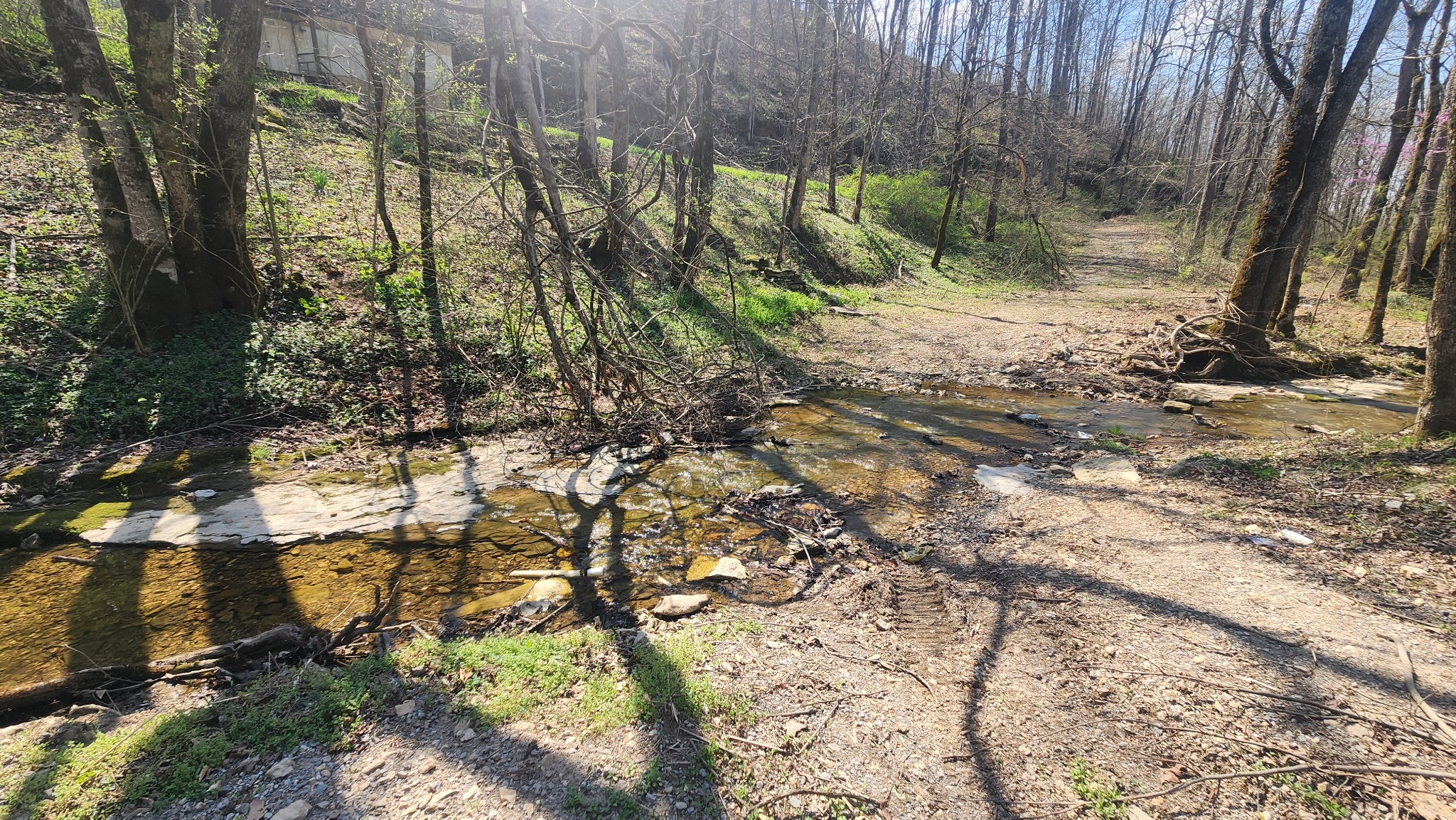 0 Phillips Hollow Road Westmoreland, TN 37186 - Photo 21 of 24 a backyard of a house with large trees and a wooden fence