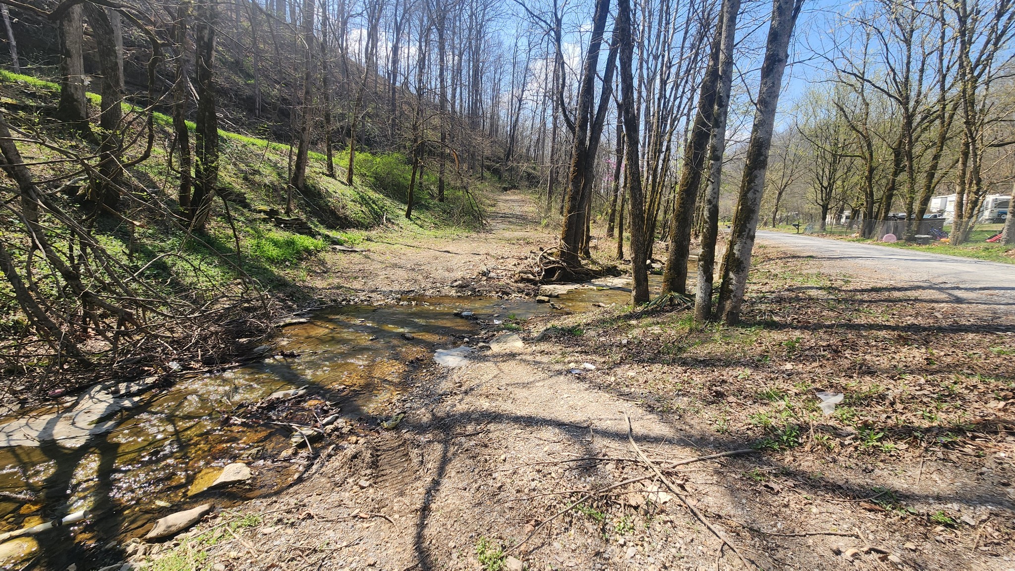 0 Phillips Hollow Road Westmoreland, TN 37186 - Photo 22 of 24 a view of backyard space with trees