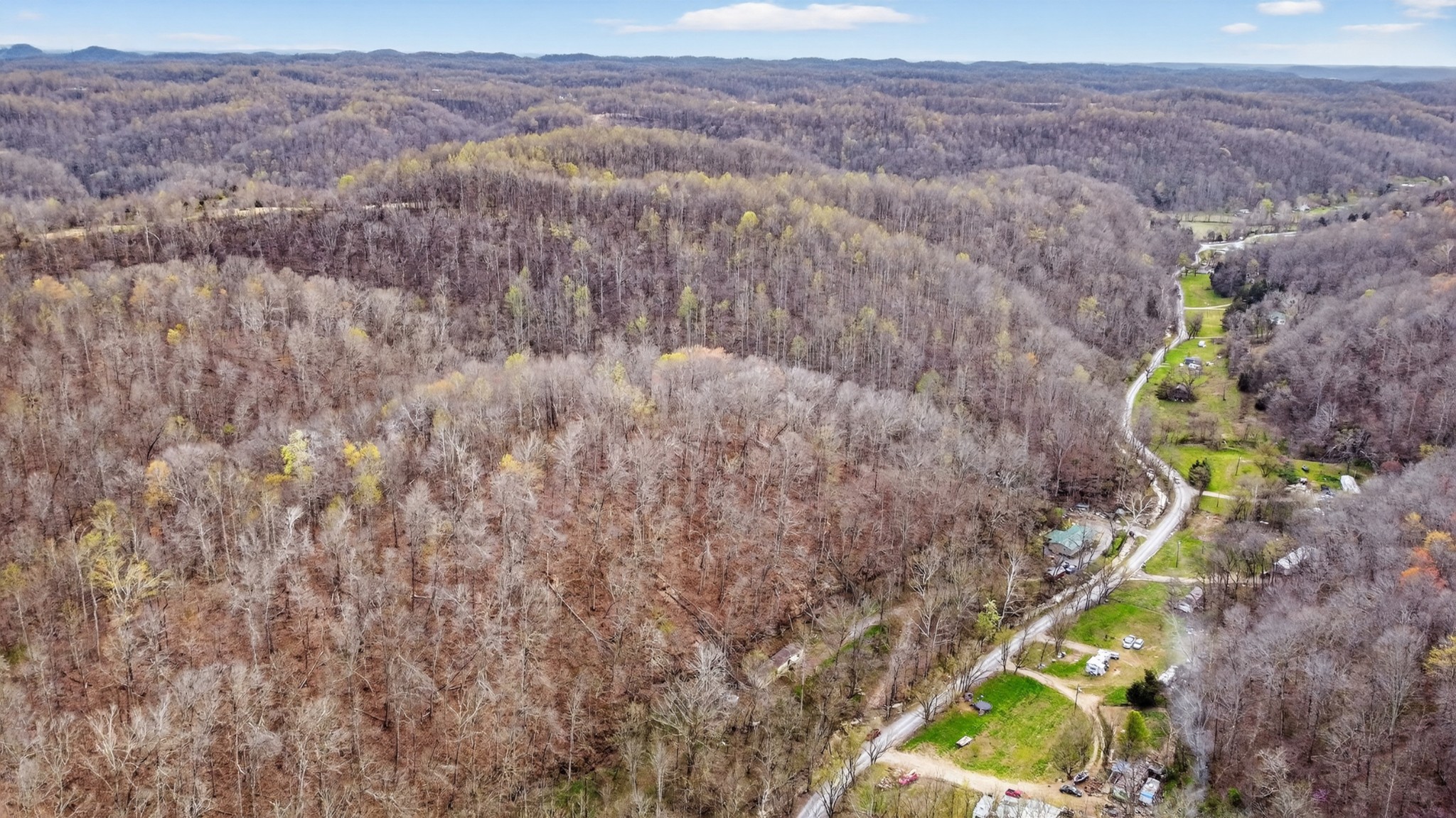 0 Phillips Hollow Road Westmoreland, TN 37186 - Photo 7 of 24 a view of a forest with a mountain and trees