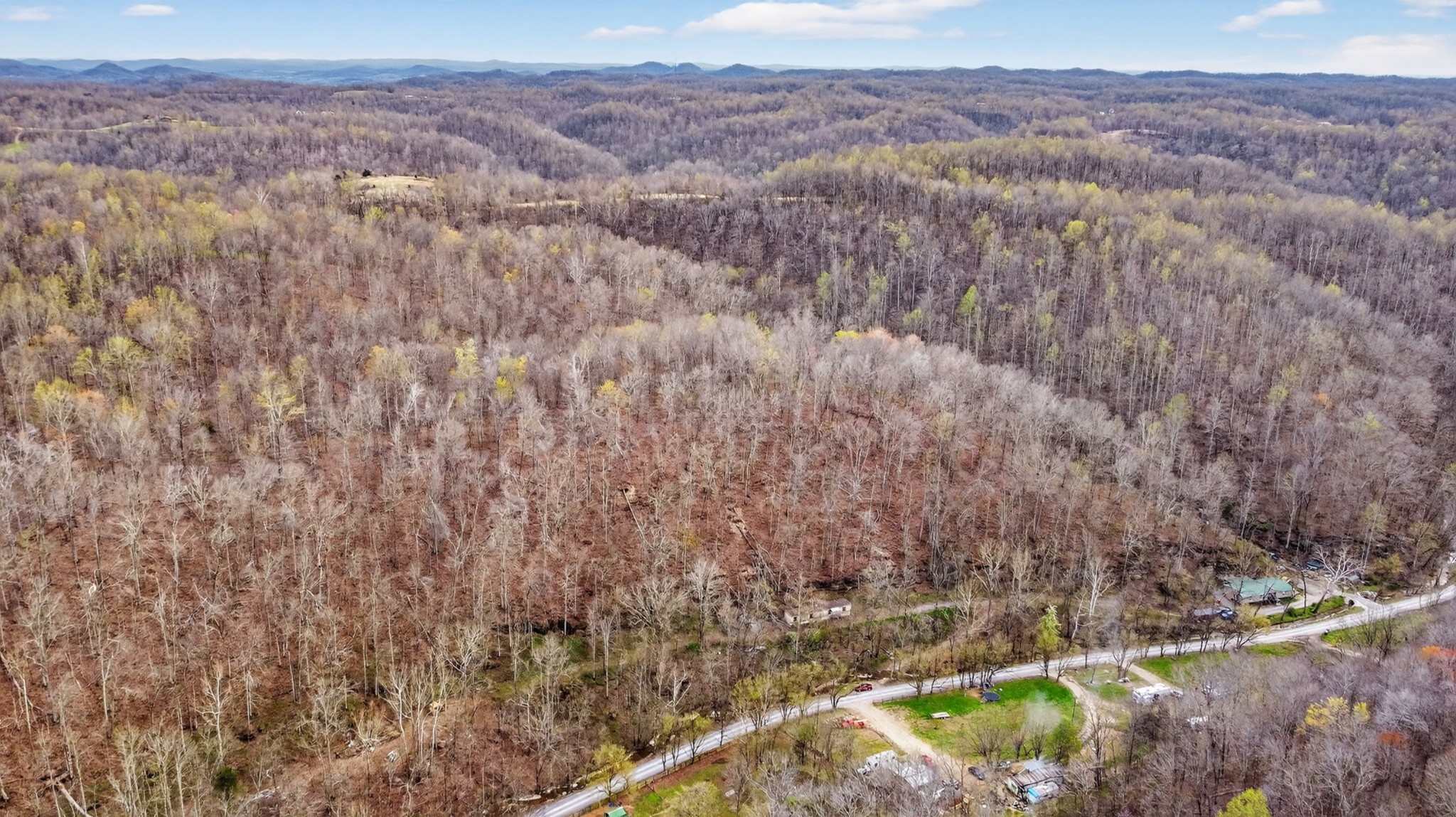 0 Phillips Hollow Road Westmoreland, TN 37186 - Photo 8 of 24 a view of a forest with mountains in the background