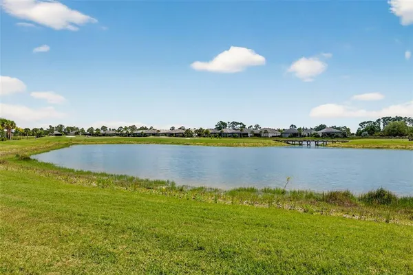 a view of a lake with a large trees
