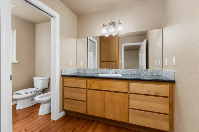 a bathroom with a sink and a toilet