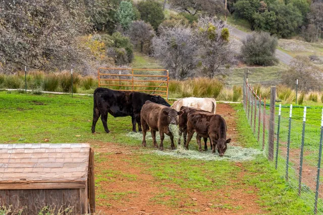 a view of an outdoor space and yard