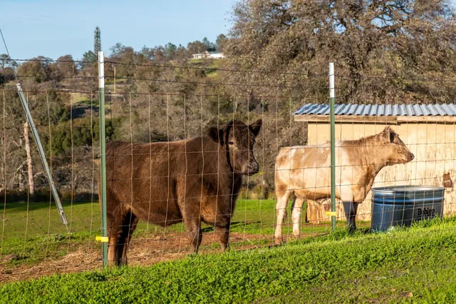 an aerial view of residential house with outdoor space and trees